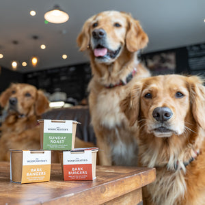 Trade Dog Treats for Cafes