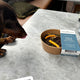 Fish & Chips Dog Bowl