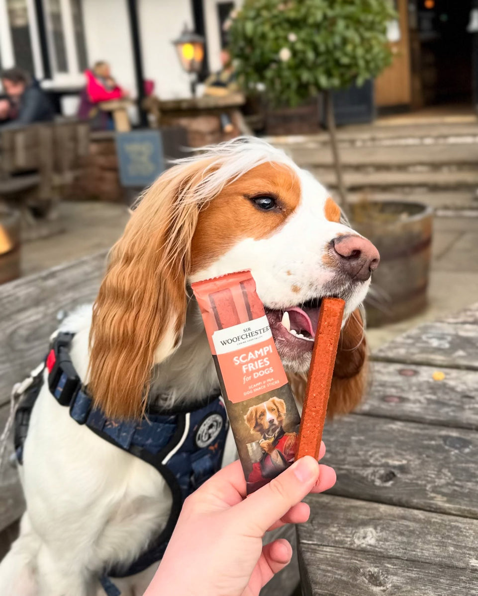 NEW Scampi Fries - Bar Snack