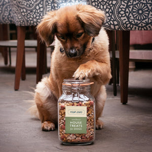 Trade Dog Treats for Hotels and Inns