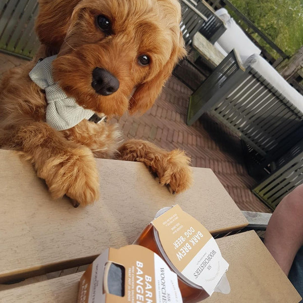 Dog Treat Shop Sir Woofchester s dog-treat-shop-sir-woofchester-s