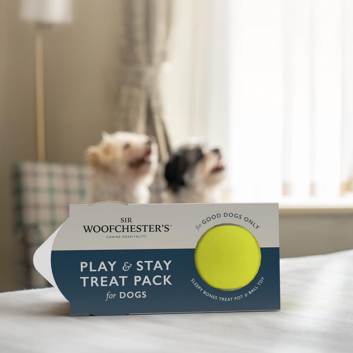Play & Stay Treat Pack for Dogs