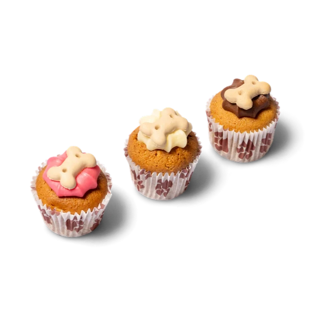 Woof Cakes for Dogs