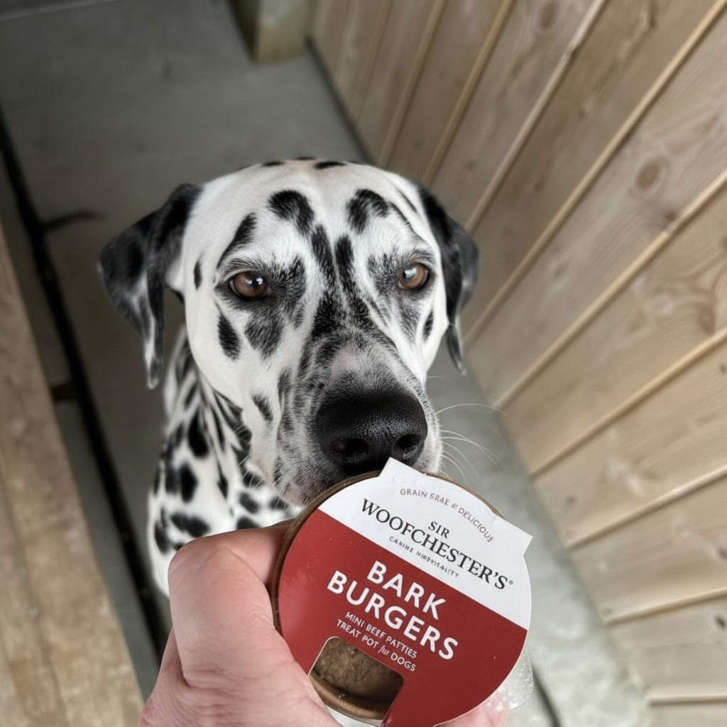 Bark Burgers Treat Pot