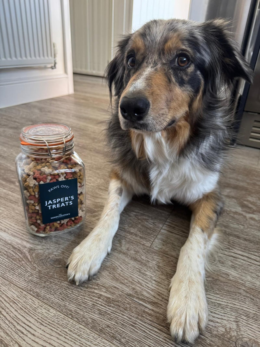 Personalised Kilner Jar & Dog Treats