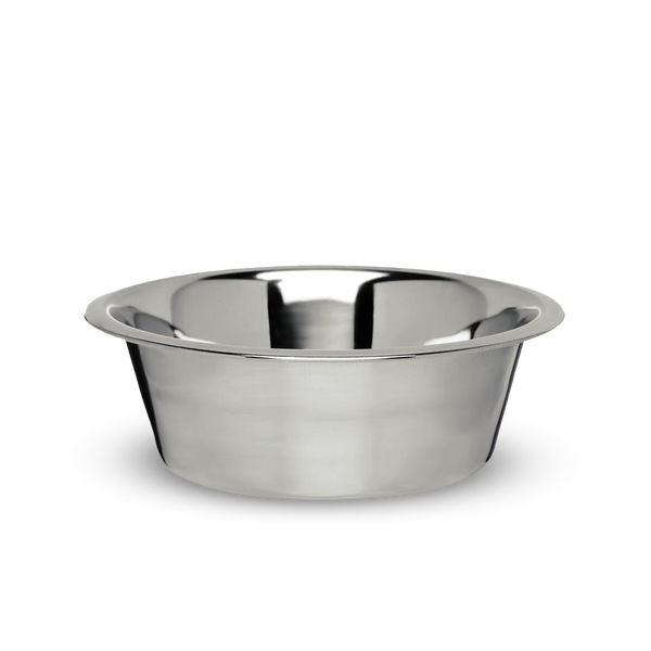 Dog drinking bowl